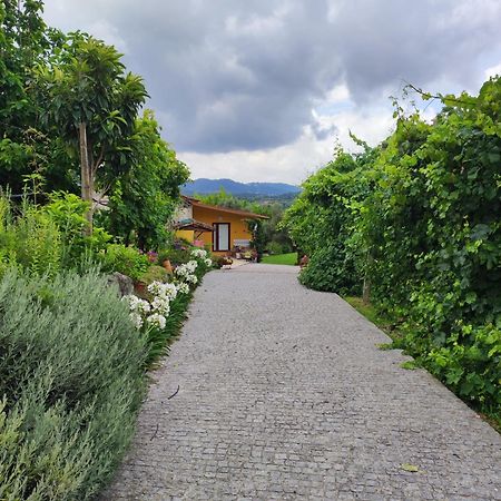 Casa Matreiro Villa Prozelo Eksteriør bilde