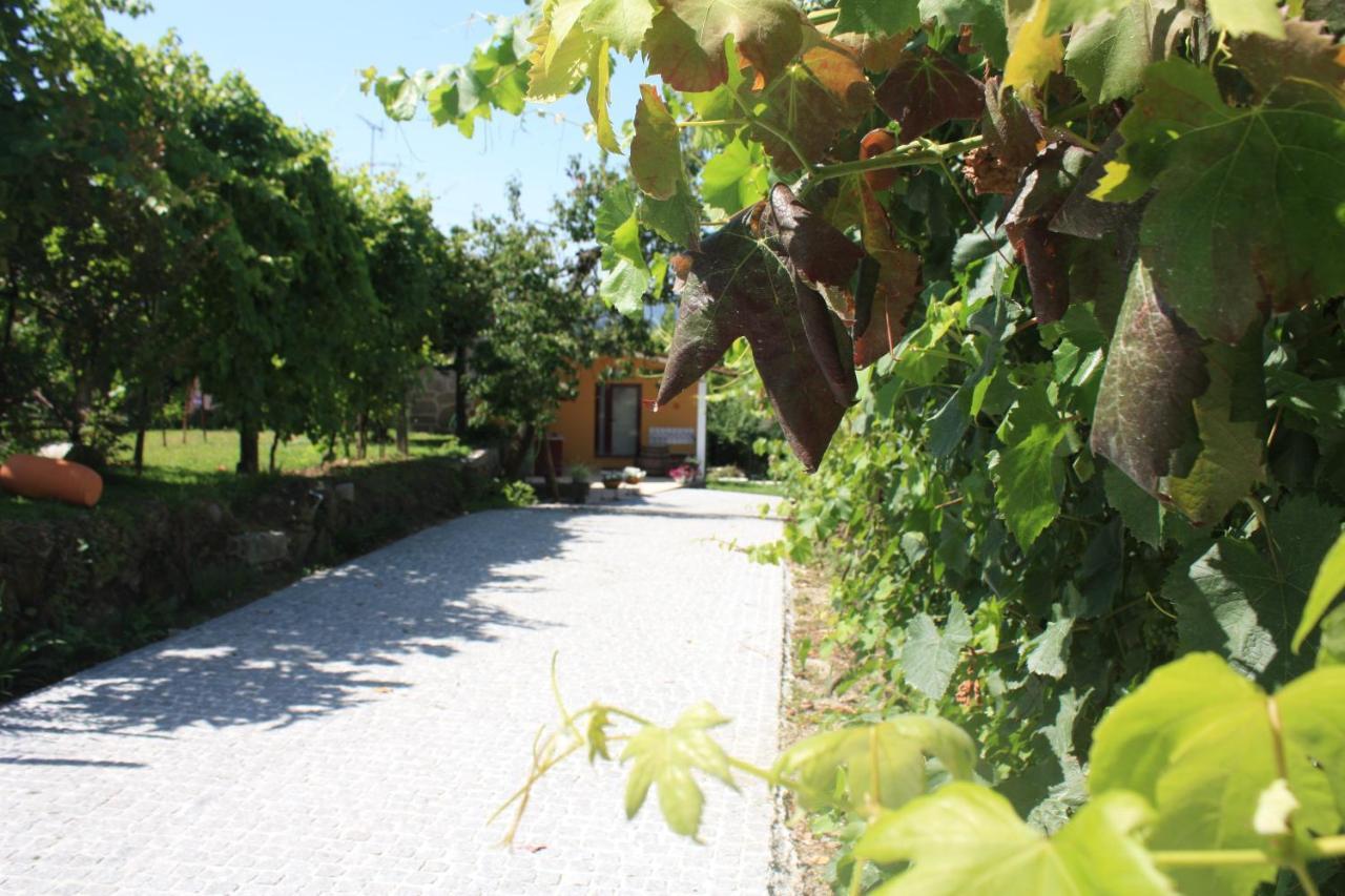 Casa Matreiro Villa Prozelo Eksteriør bilde