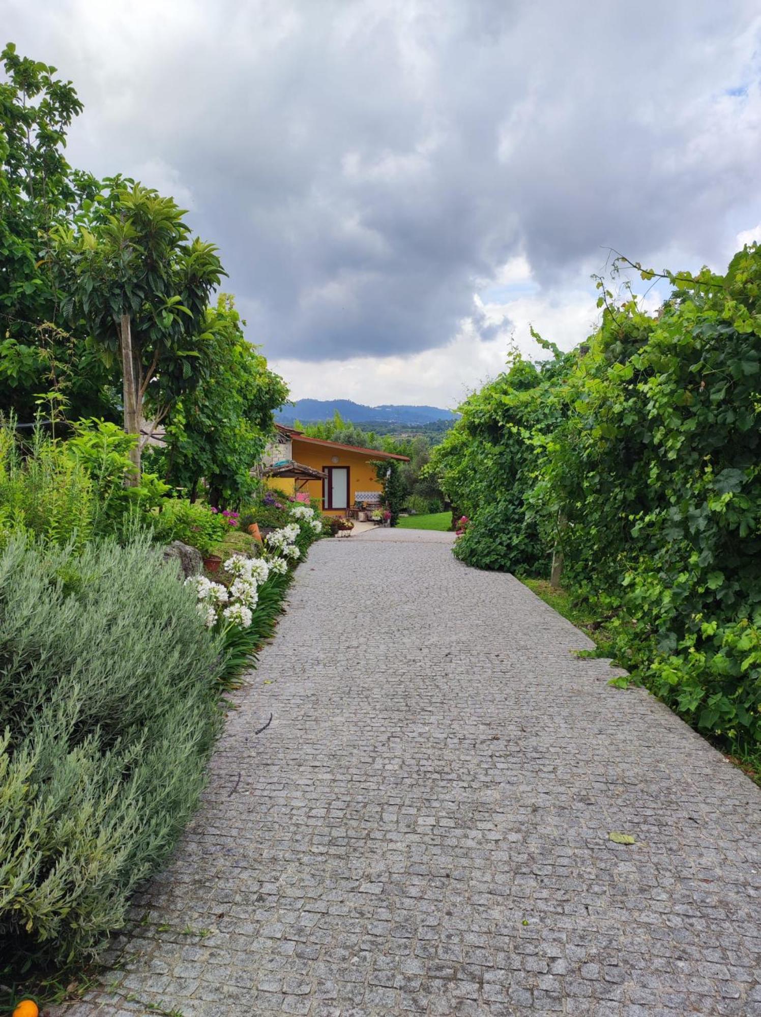 Casa Matreiro Villa Prozelo Eksteriør bilde