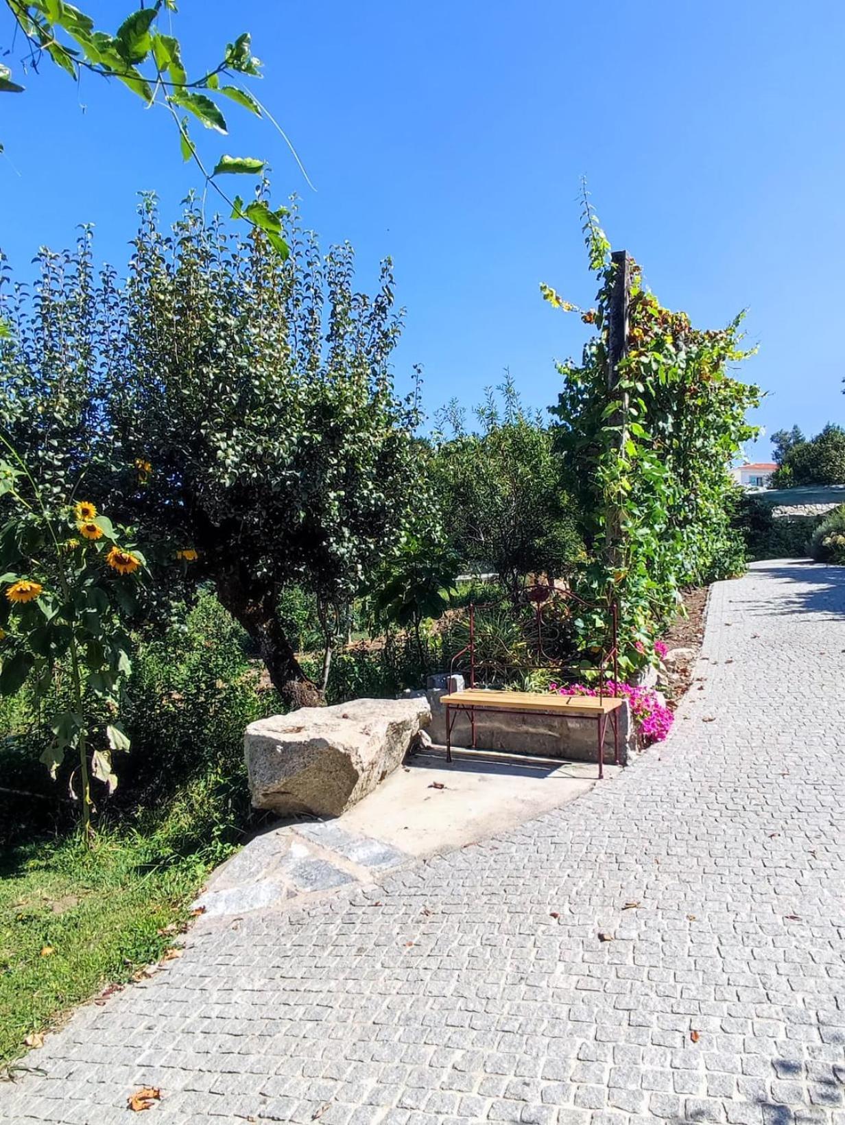 Casa Matreiro Villa Prozelo Eksteriør bilde