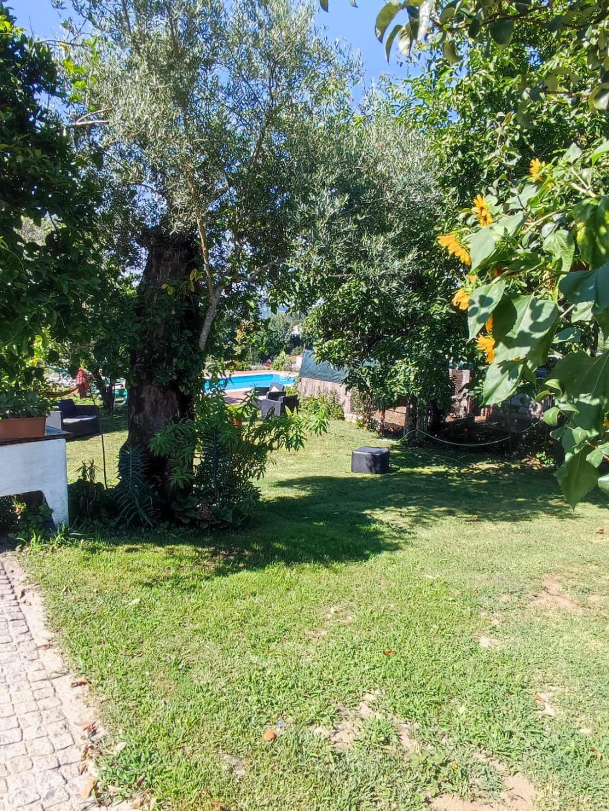 Casa Matreiro Villa Prozelo Eksteriør bilde
